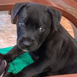 Meet your Posher, Sean